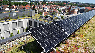 Solarmodule auf dem begrünten Dach einer Stadt