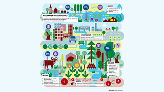 Infografik zum Natürlichen Klimaschutz