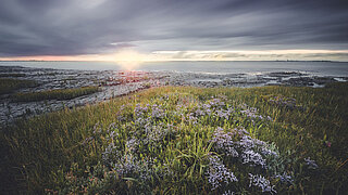 Nordseeküste