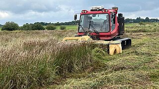 Rote Raupenfahrzeug-Mähmaschine schneidet hohes Gras auf einer Wiese
