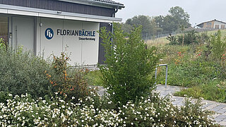 Gebäudefassade mit dem Schriftzug 'FLORIAN BÄCHLE Steuerberatung' neben einem naturnah gestalteten Firmengelände mit vielfältiger Bepflanzung und Wiese.