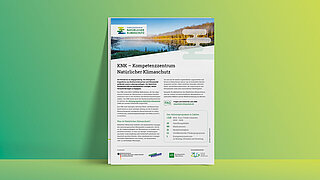Grafik mit Titelseite des KNK-Factsheets