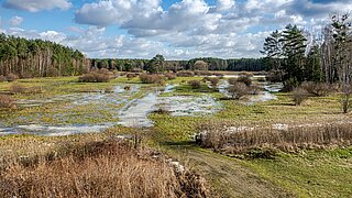 Blick auf eine Moorlandschaft unter blauem Himmel