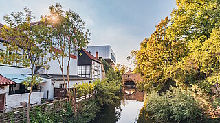 Wohnhäuser an einem städtischen Fluss mit begrüntem Ufer