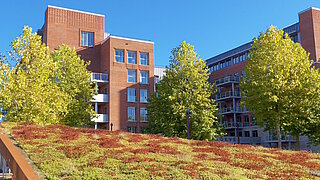 Unternehmensgebäude mit begrüntem Dach