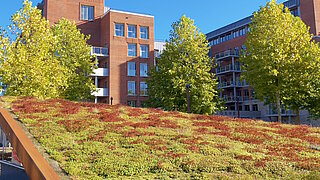 Unternehmensgebäude mit begrüntem Dach