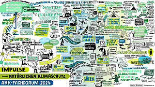 Graphic Recording zum ANK-Fachforum