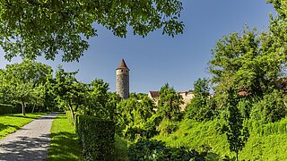 Grüne Landschaft und dörfliche Gebäude