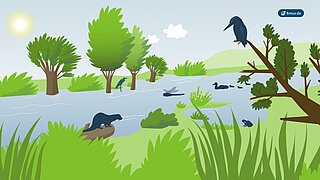 Grafik einer Flussaue