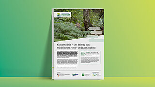 Grafik mit Titelseite des Factsheets KlimaWildnis