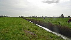 Ein landwirtschaftlich genutztes Niedermoor