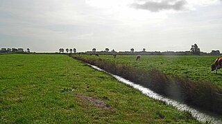 Ein landwirtschaftlich genutztes Niedermoor