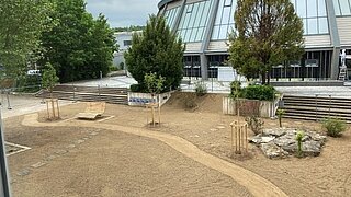 Freifläche mit neu angelegtem Weg, einzelnen jungen Bäumen und einer großen, runden Glasfassade im Hintergrund