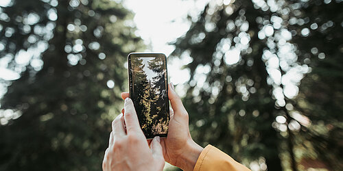 Handy fotografiert Wald