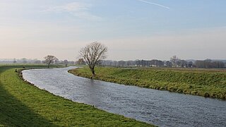 Der Fluss Hase in grüner Landschaft