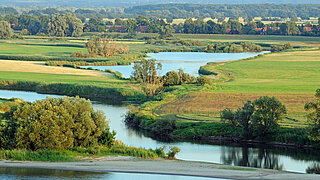 Fluss mit geschwungenem Verlauf durch eine grüne, landwirtschaftlich genutzte Landschaft mit einzelnen Bäumen und Häusern im Hintergrund