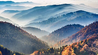 Neblige Berglandschaft