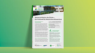 Grafik mit Titelseite des KNK-Factsheets Wasserrückhalt in der Fläche