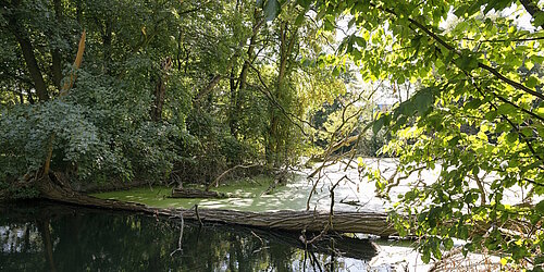 Fluss- und Auenlandschaft