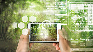 Bild mit Smartphone und digitalen Visualisierungen vor Waldhintergrund