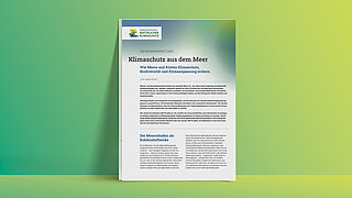 Mockup eines Informationspapiers mit dem Titel 'Klimaschutz aus dem Meer' und Untertitel zu Meeren, Küsten, Klimaschutz, Biodiversität und Klimaanpassung, gestaltet mit grünem Farbverlauf im Hintergrund