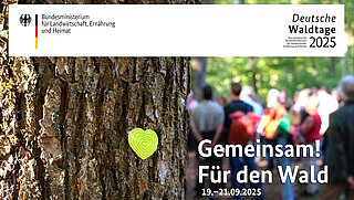 Das Bild zeigt einen Baumstamm mit einem Herzen - im Hintergrund sind mehrere Menschen von hinten zu sehen. Das Foto ist das Motiv der Deutschen Waldtage 2025.