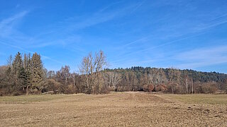 Das Foto zeigt das Feuchtgebiet Merklinger Ried in Baden-Württemberg.