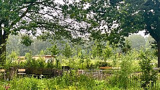 Urbaner Waldgarten