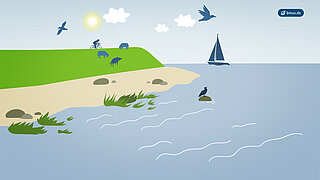 Grafik mit Küste und Meer