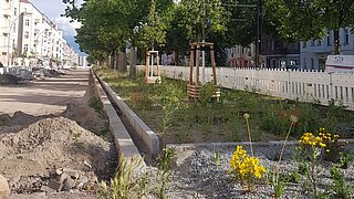 Auf dem Bild sind Straßenbauarbeiten zu sehen. In der Mitte ist ein Grünstreifen mit einer Blühweise und Bäumen. Rechts und links befinden sich Häuser.