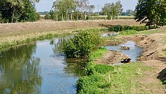Hase Fluss in Bramsche