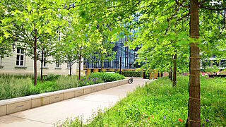 Park und Fußgängerweg vor einem Gebäude