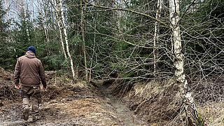 Person in brauner Arbeitskleidung geht auf einem Waldweg mit erdigem Boden zwischen Birken und Nadelbäumen