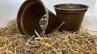 Zwei braune Pflanztöpfe aus biologisch abbaubarem Material liegen auf einem Haufen Stroh