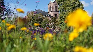 Blühwiese vor einer Kirche